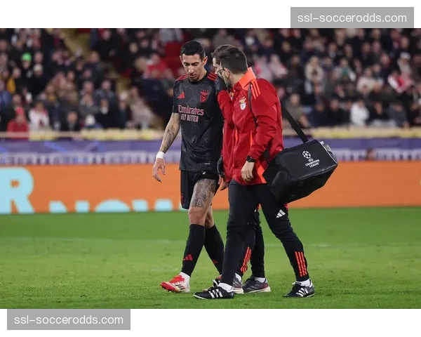 深度报道：数字化训练系统如何帮助葡萄牙本菲卡俱乐部实现战绩突破